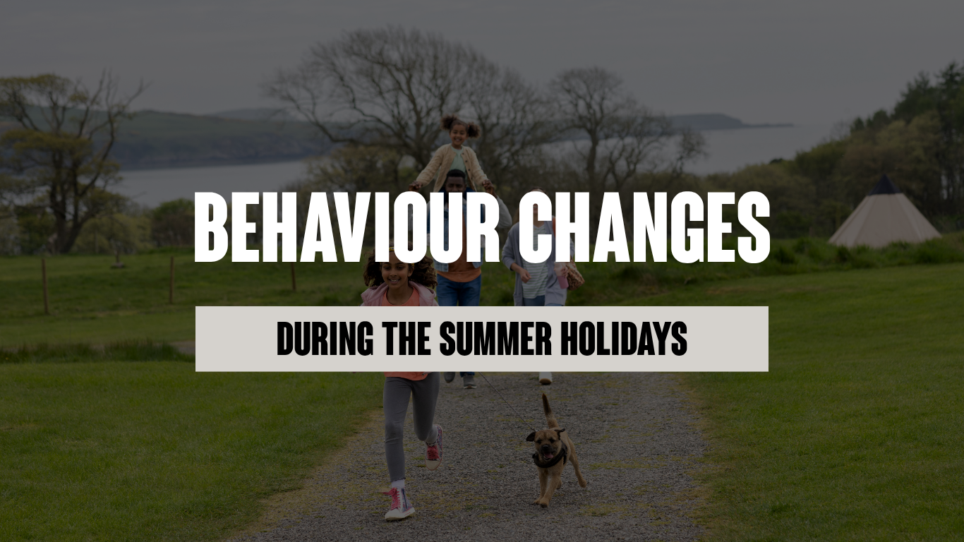 Why Does My Dog's Behaviour Get Worse During the Summer Holidays?