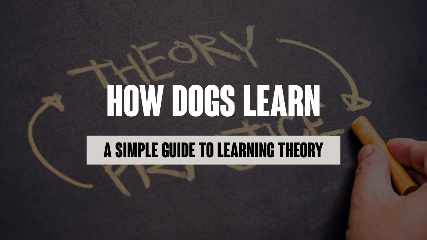 How Dogs Learn: A Simple Guide to Learning Theory