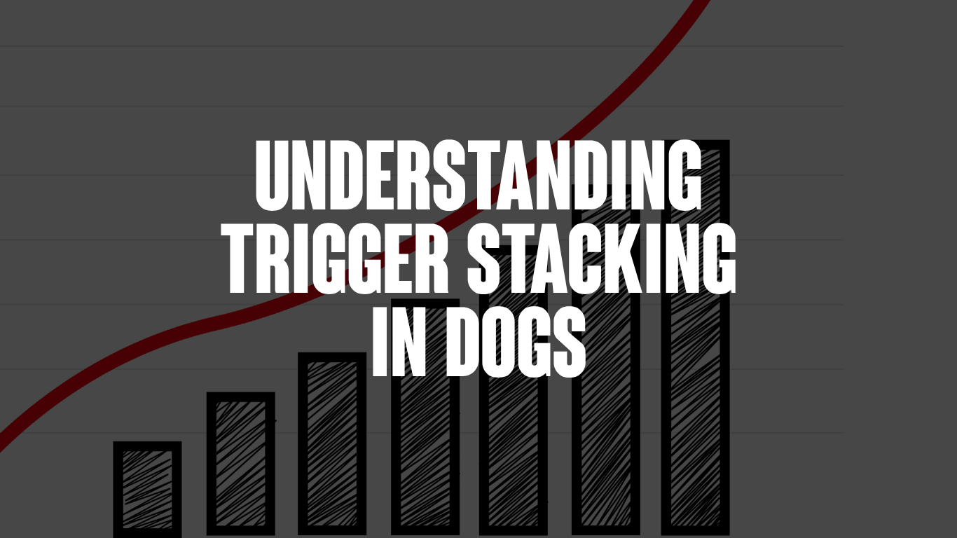 Understanding Trigger Stacking in Dogs: Why Your Dog Reacts More Some Days