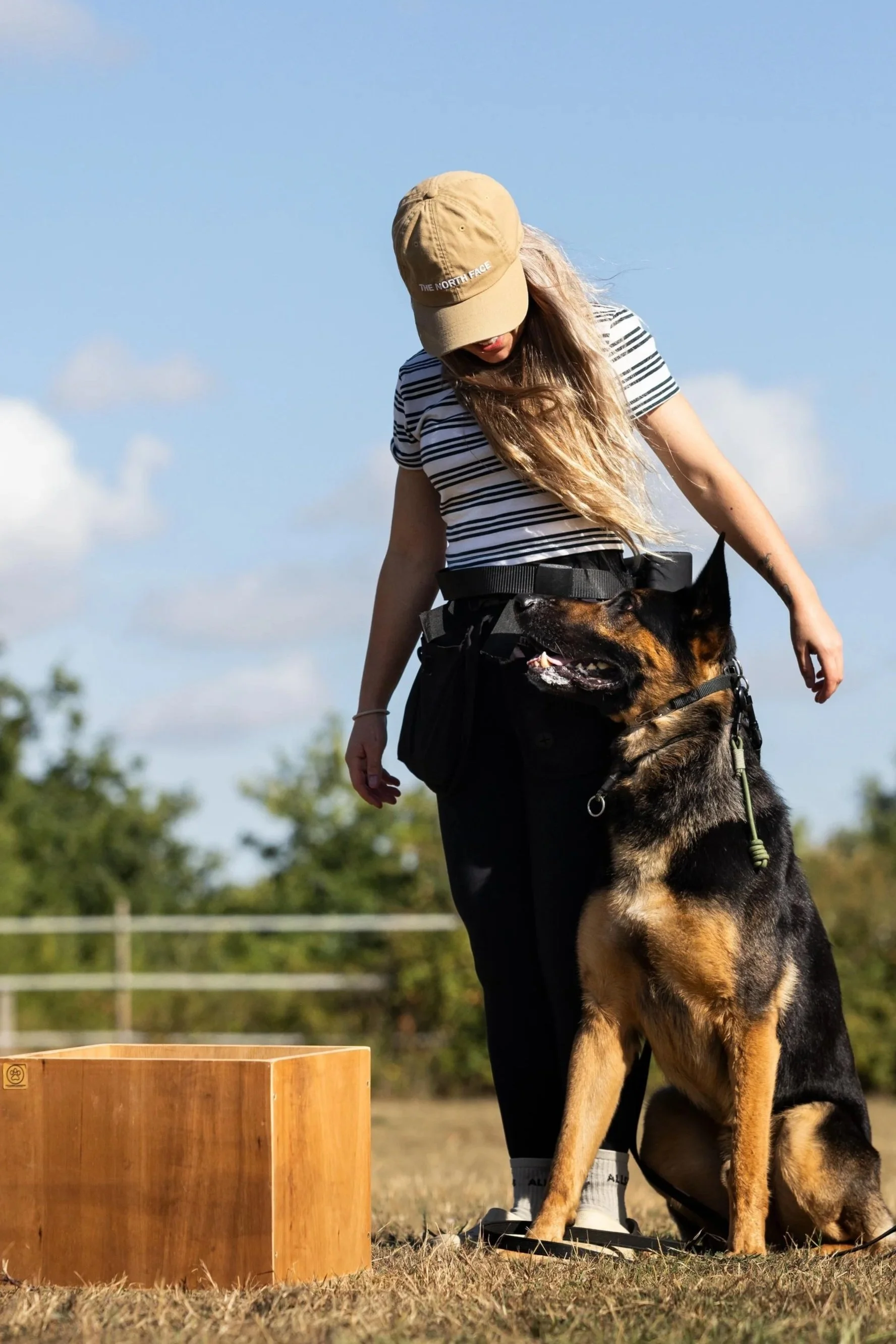 A woman with long blonde hair, wearing a beige cap, striped shirt, and black pants, interacts with a large German shepherd dog outdoors on a sunny day. The dog sits attentively beside her.