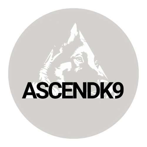 ASCENDK9