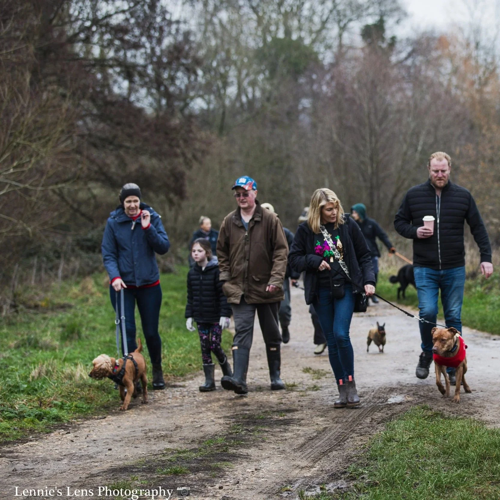 A group of people walking their dogs on a trail in a wooded area during fall.