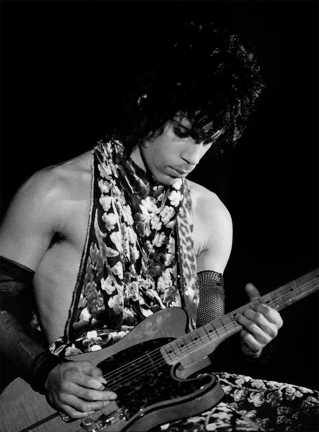 Prince+by+Nancy+Bundt+p1.jpg
