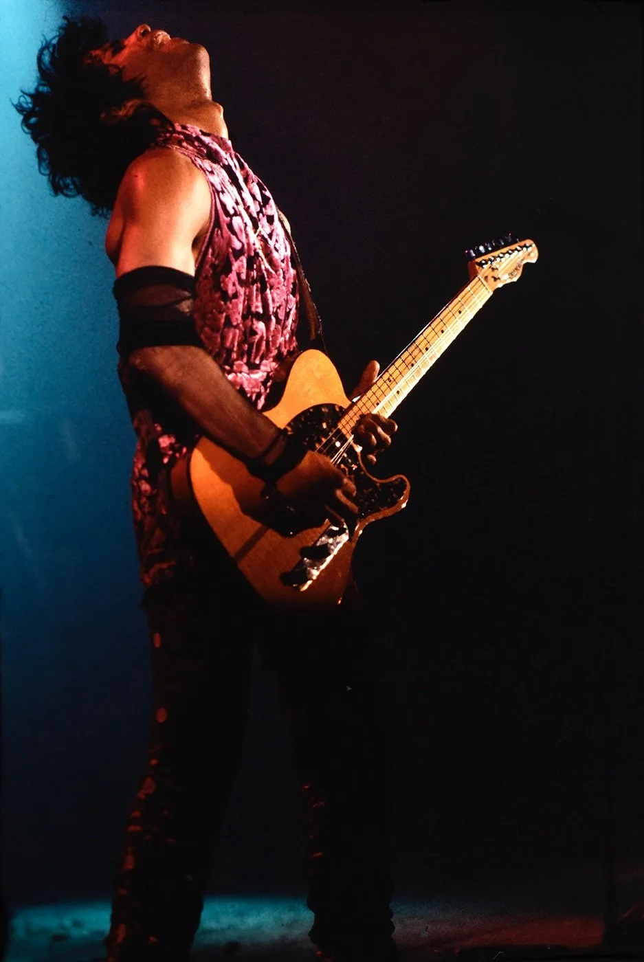 Prince by Nancy Bundt p6.jpg