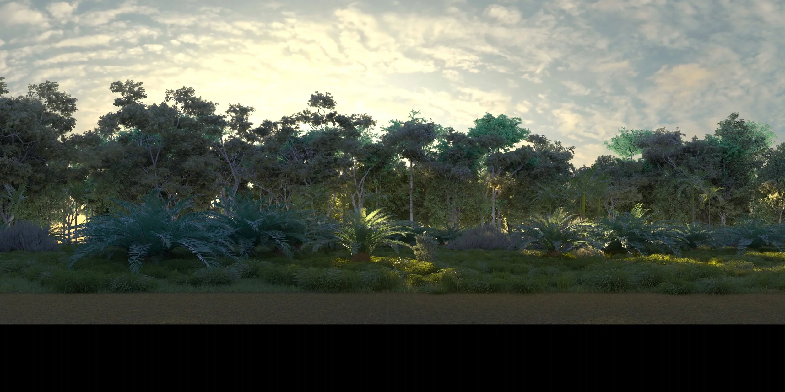 Jungle