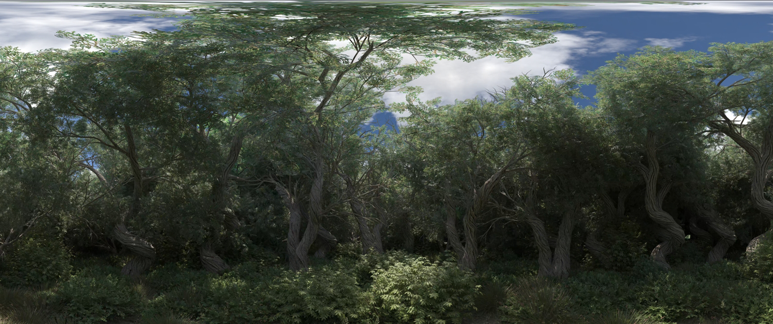 New Static Plate: Forest B
