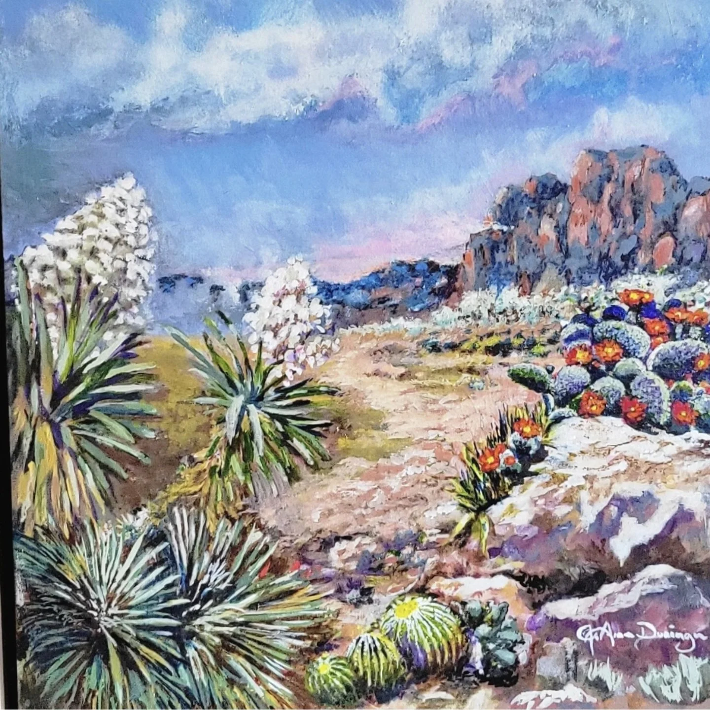 Desert in bloom.jpg