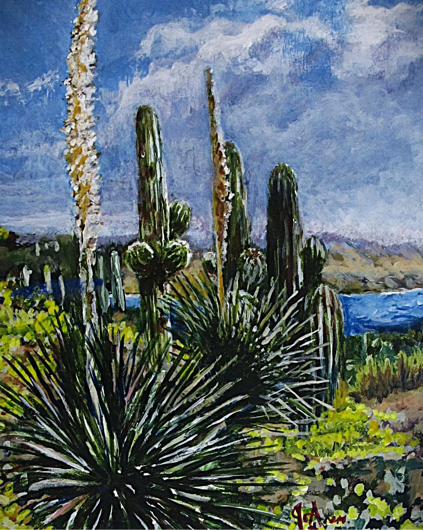 Desert Spoon of the Desert Southwest