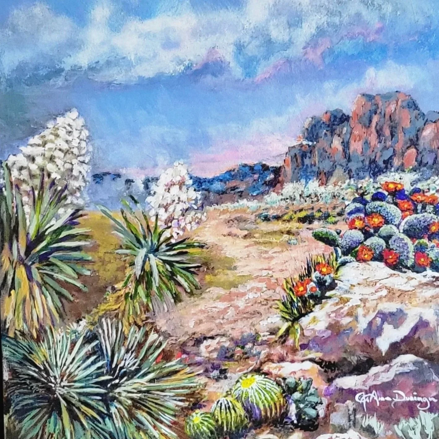 Yucca
