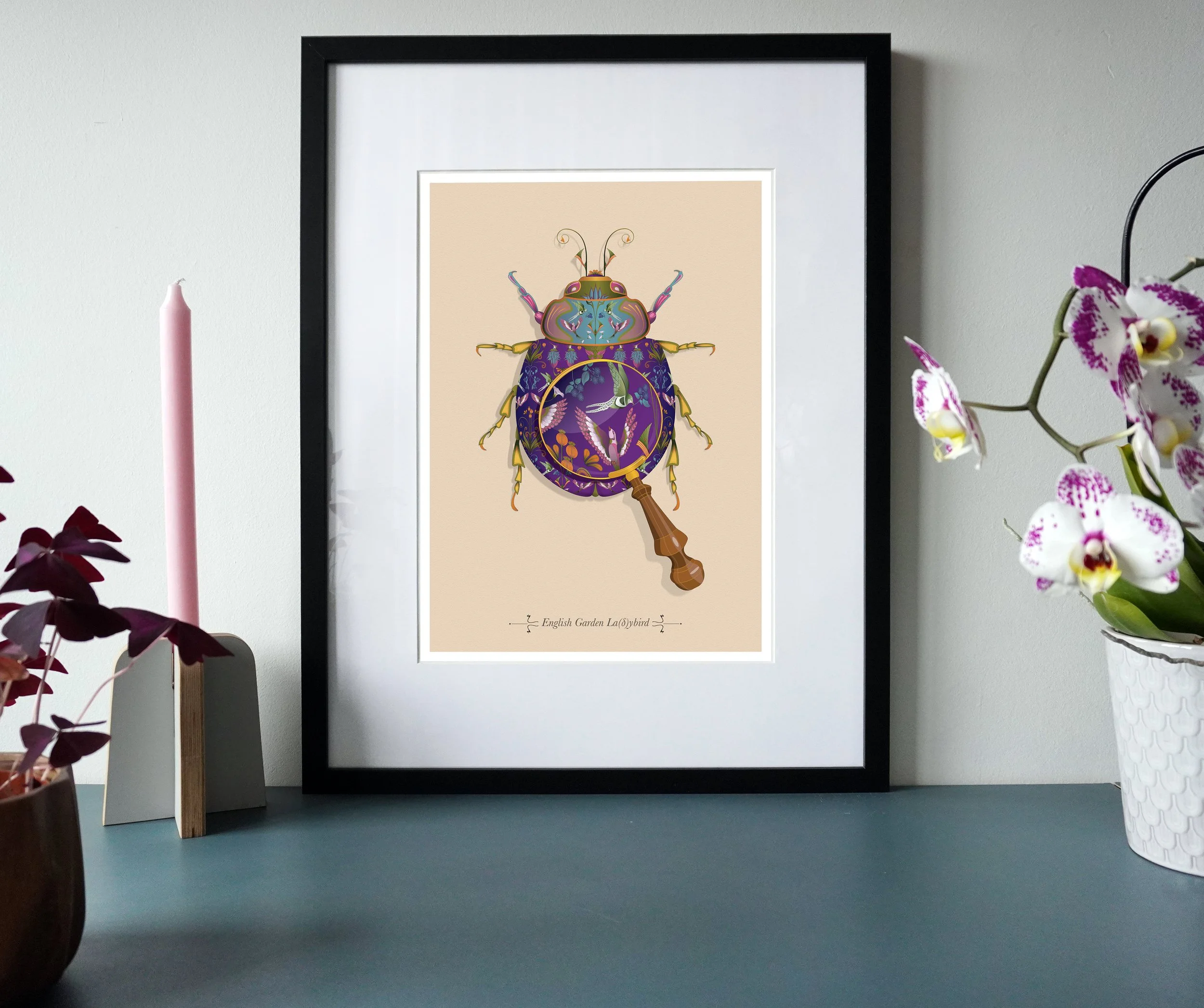 English Garden Ladybird.jpg