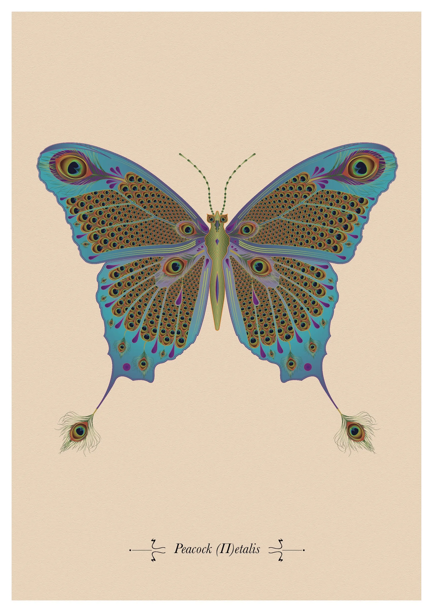 A3 Peacock Petalis Print