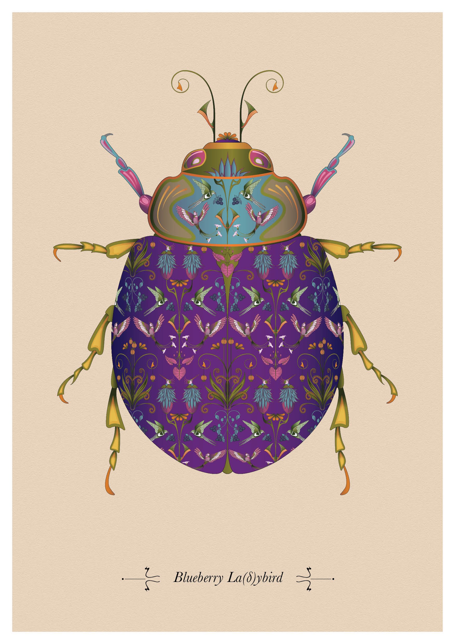 A3 Blueberry Ladybird Print