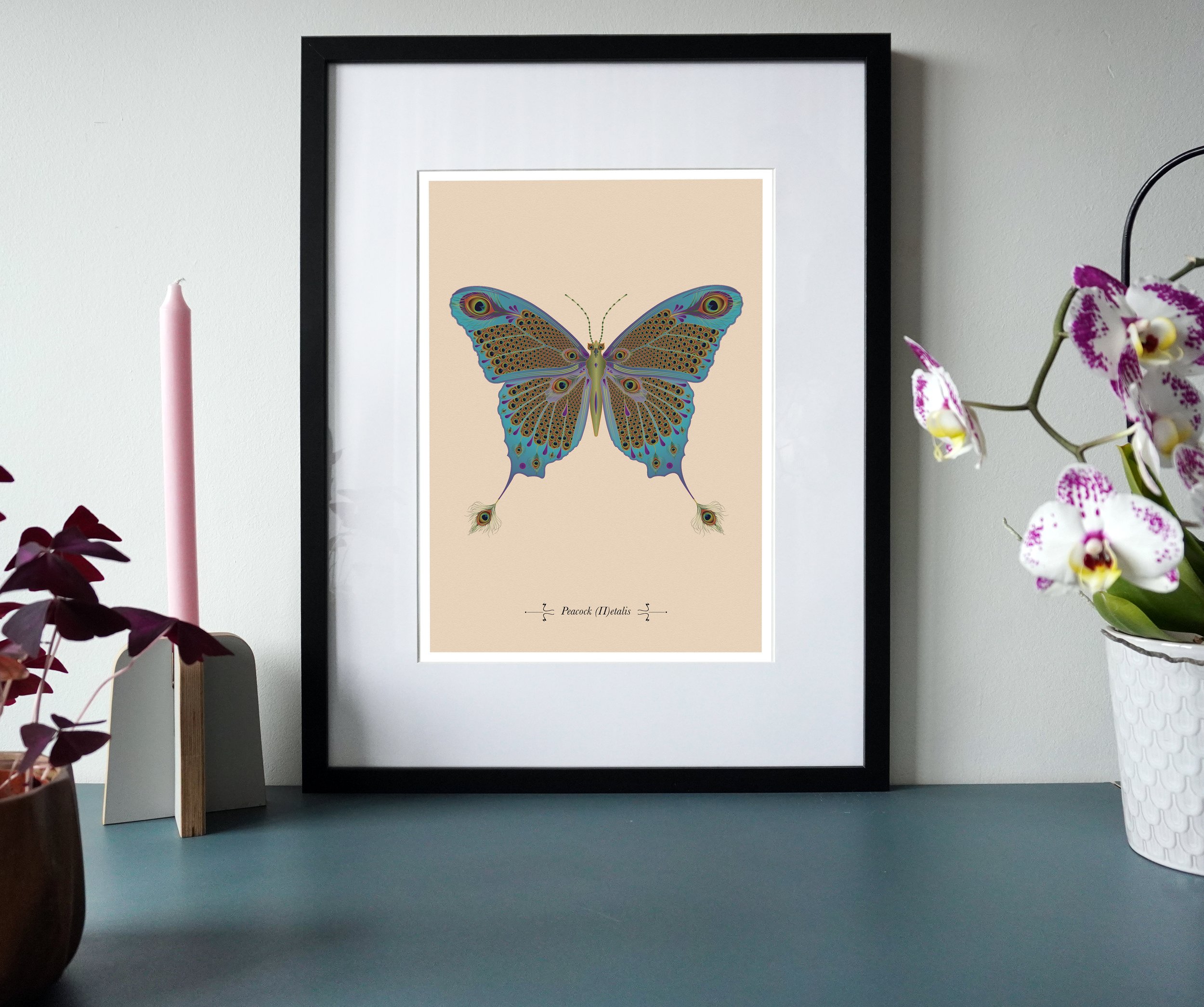 Peacock Petalis.jpg