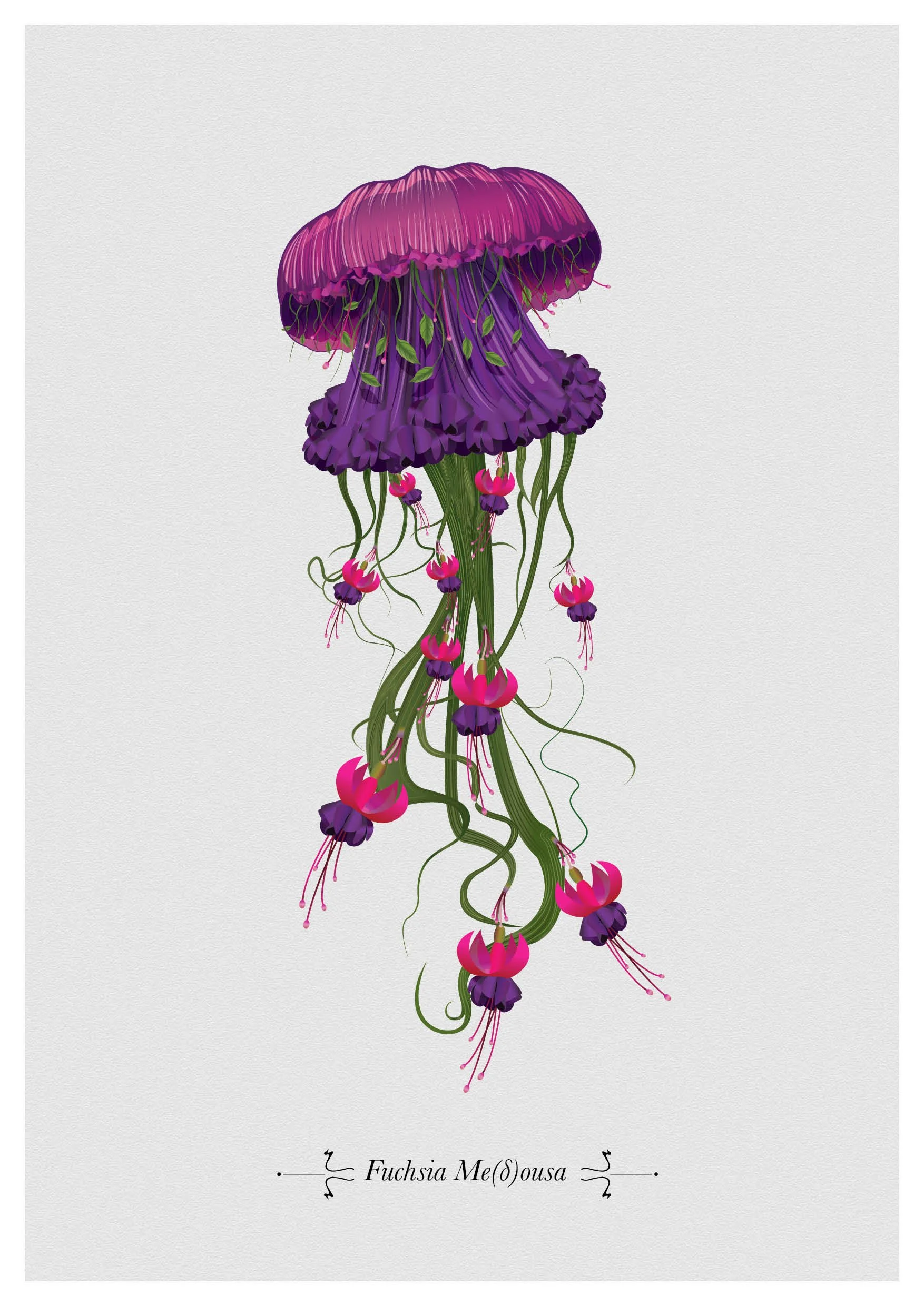 A3 Fuchsia Medusa Print