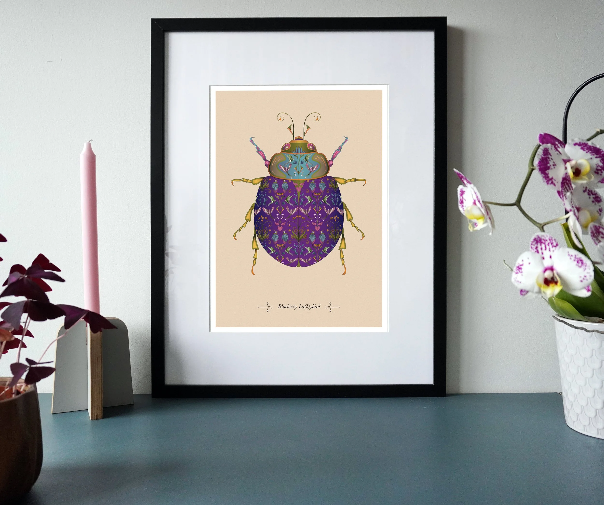 Blueberry Ladybird.jpg