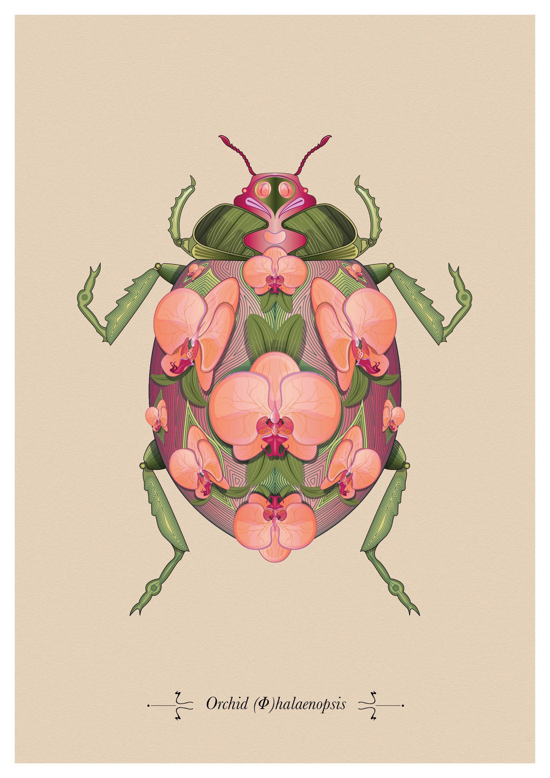 Insects A3 prints5.jpg