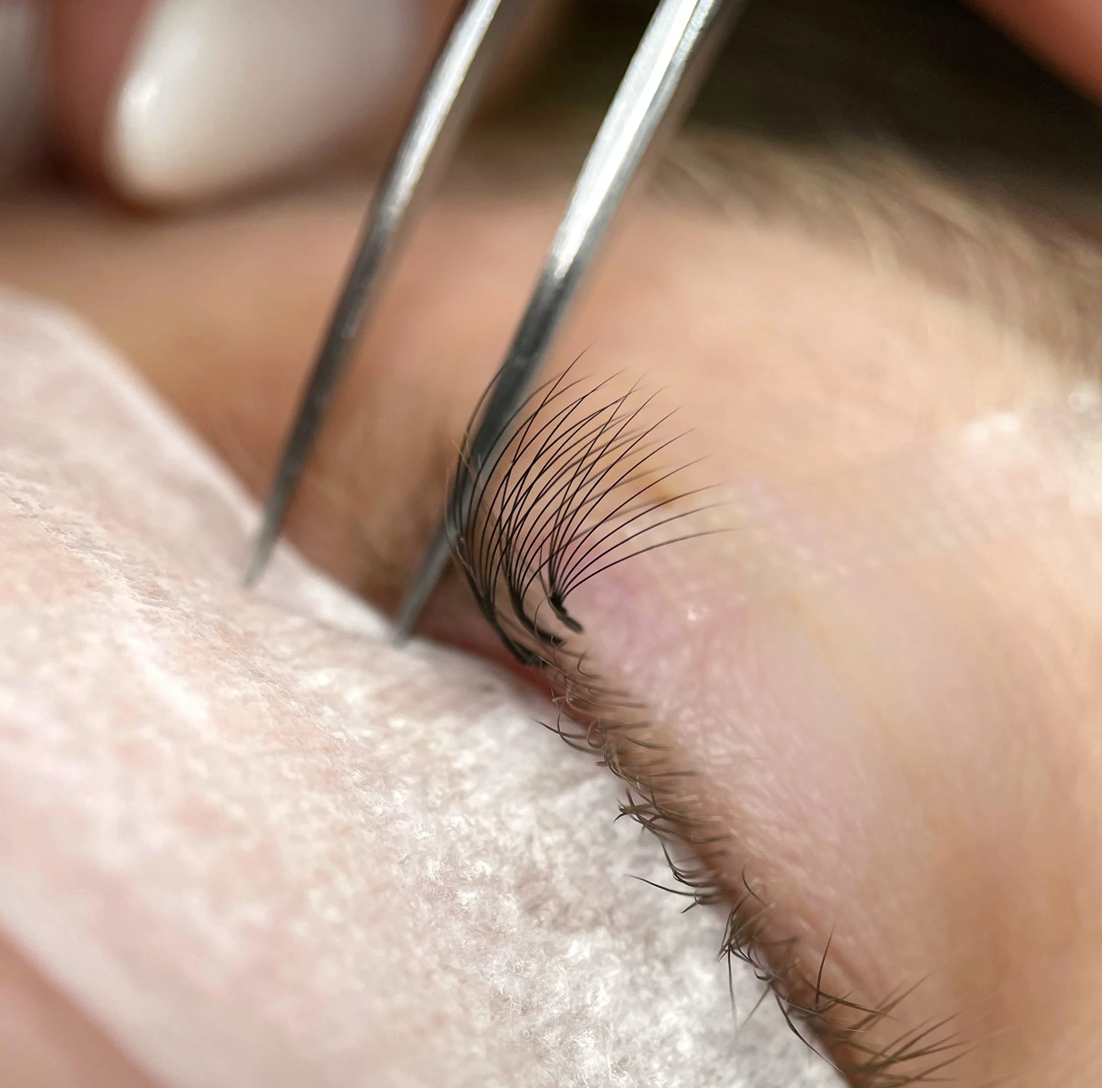 Les rangées des extensions de cils - Identification et technique de pose