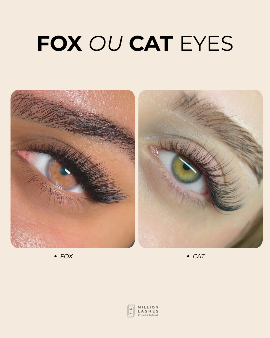 Fox Eye ou Cat Eye : qu’elle est la différence et lequel choisir ?