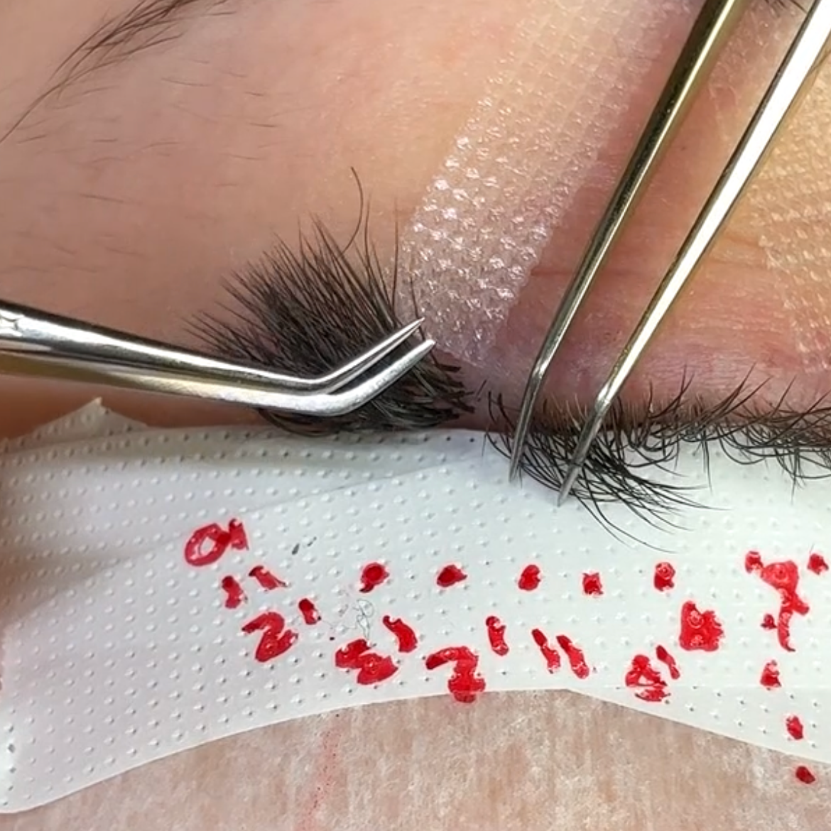 Rangées des extensions de cils. Formation extensions de cils. Stylisation extensions de cils