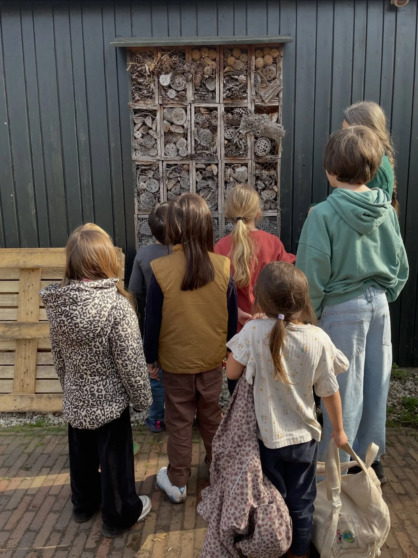Wat een prachtige zonnige lentedag bij het @wasven_groendomein! We leerden we waar we deze insectenhotels het beste kunnen plaatsen (niet te koud, maar ook niet te warm) en hoe we kunnen zien of er insecten aanwezig zijn. We ontdekten ook dat deze ho