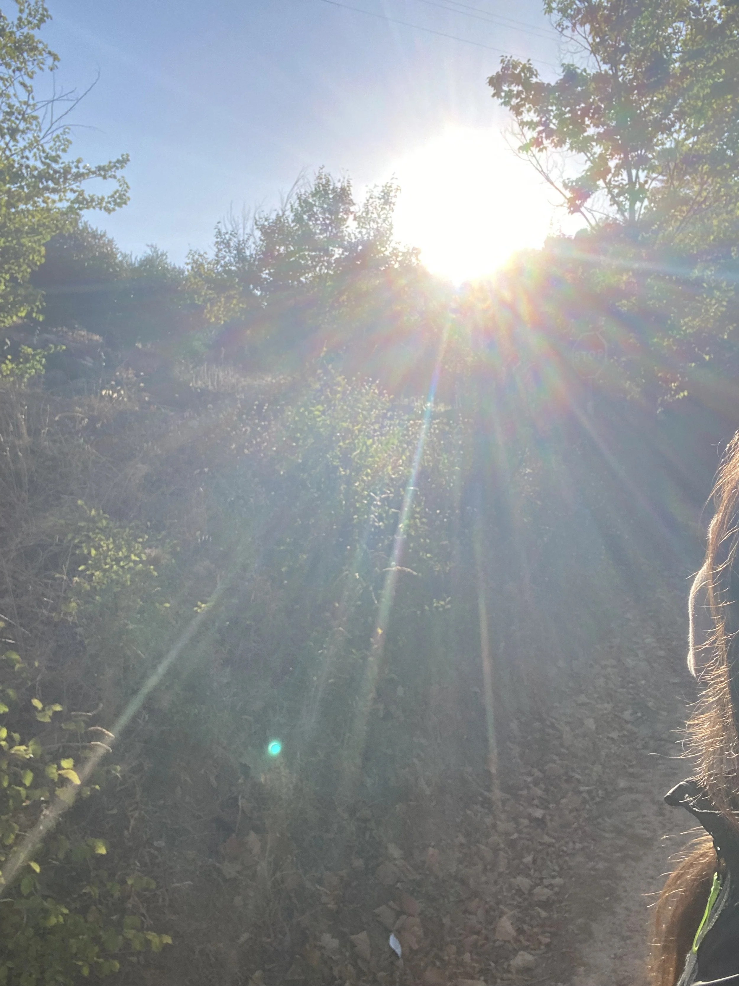 3 month Health and Wellbeing Consultancy package