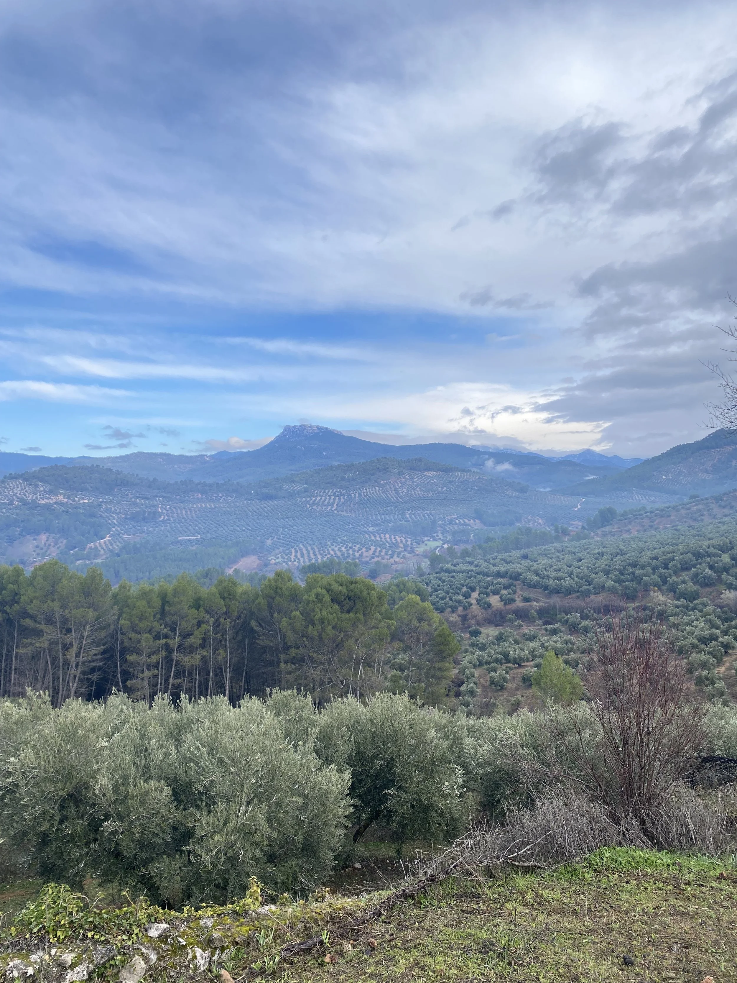 Endless possibilities 🌈 