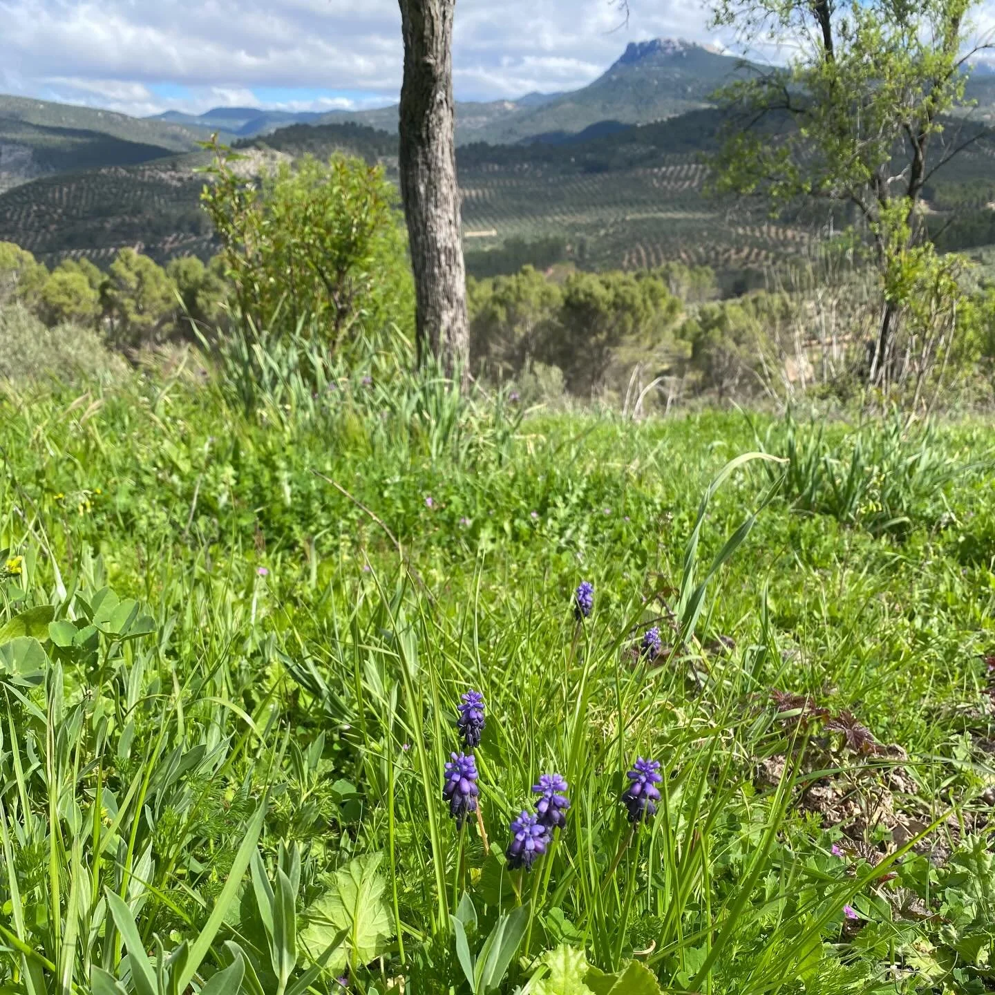 The Lord burdens my heart for the injustice that&rsquo;s going on in the medical system and pharmaceutical industry.

I can&rsquo;t live ignorantly to what goes on, knowing the extent at what is overlooked through misdiagnose and maltreatment of prec