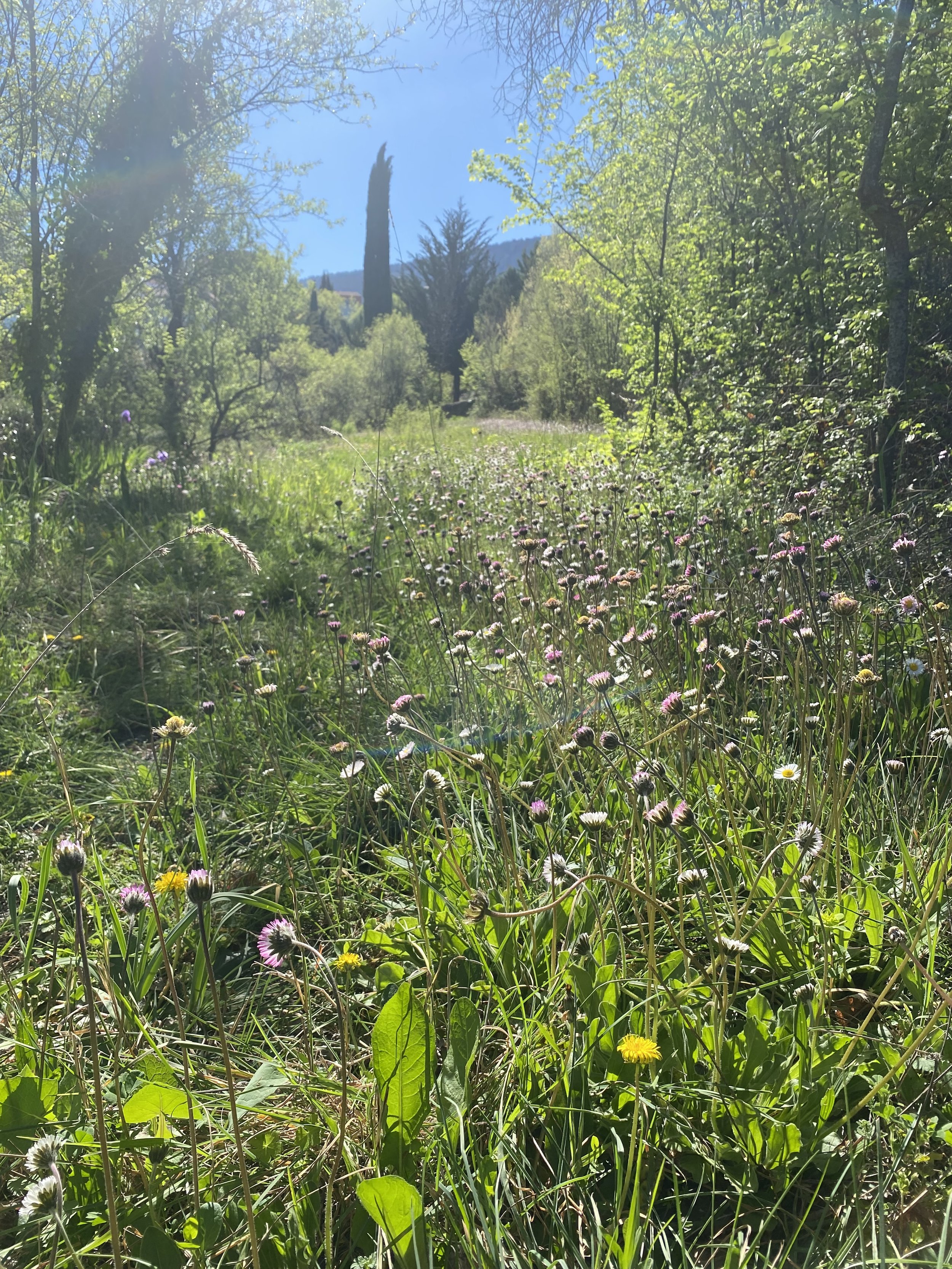 there’s a reason…GP💌problems worldwide🌿