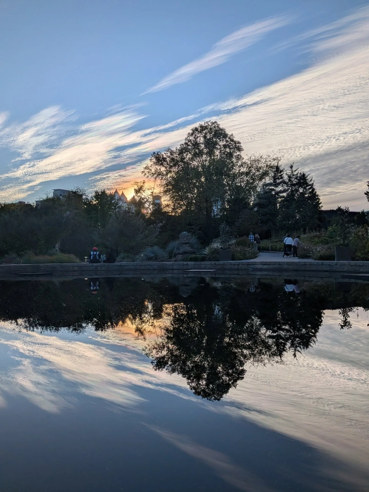 Getting some culture with @mgbryan20 and friends this evening at the Botanical Gardens!