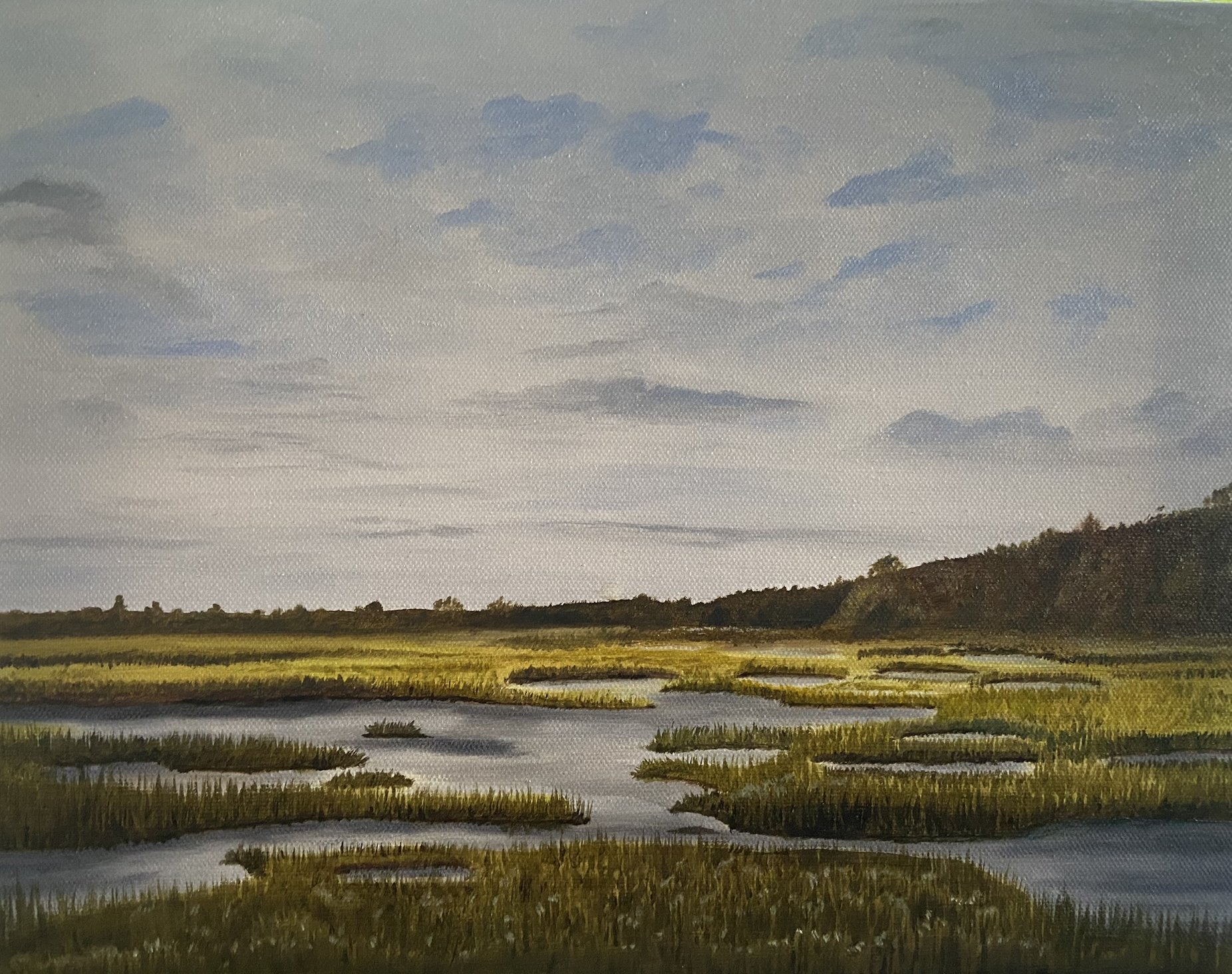 Marsh.jpg
