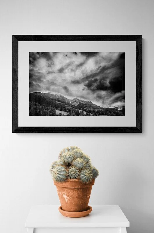 cactus-plant-in-a-pot (1).jpg