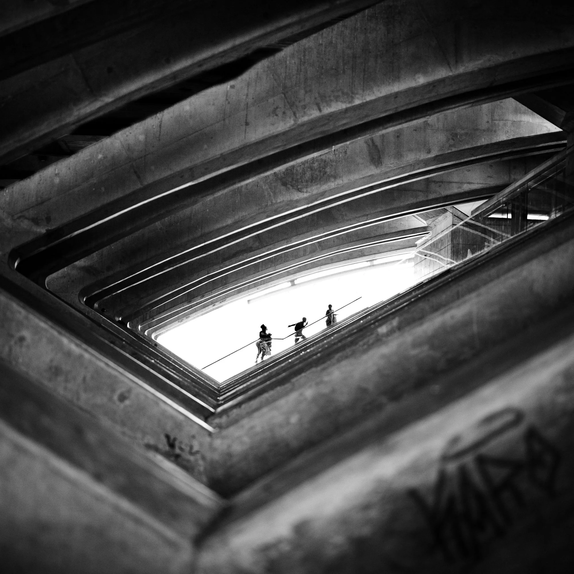 nit del art-36.jpg