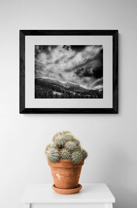 cactus-plant-in-a-pot.jpg