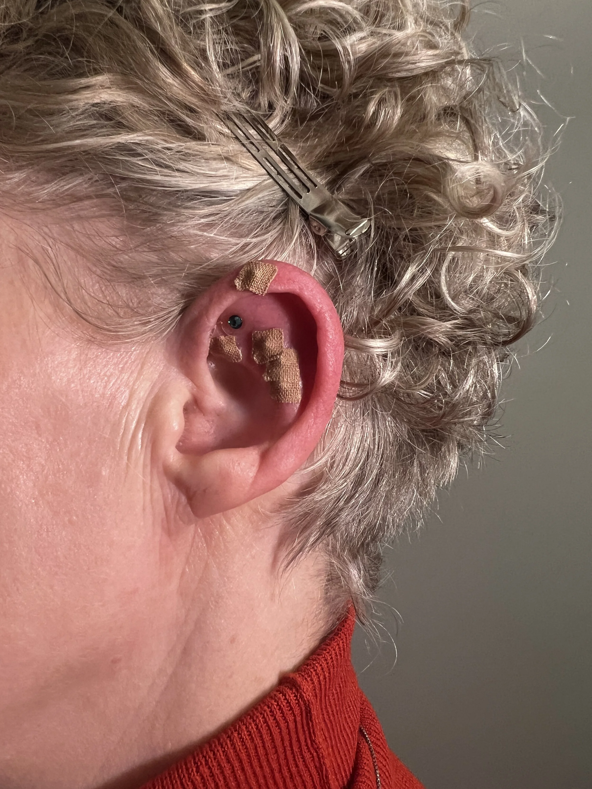 Karyn L Ear low back.JPG