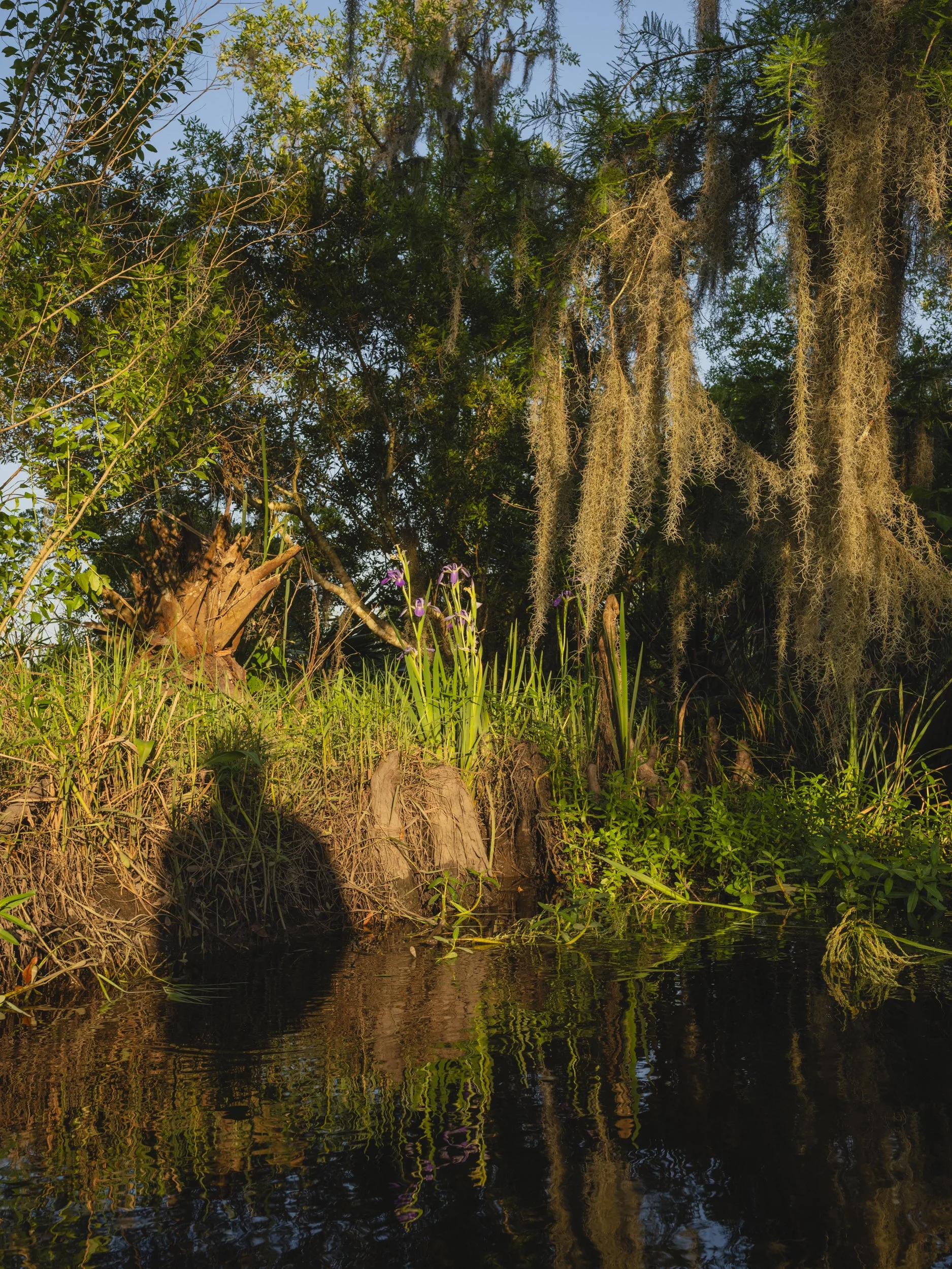 Confronting History, Family and Race, The New York Times