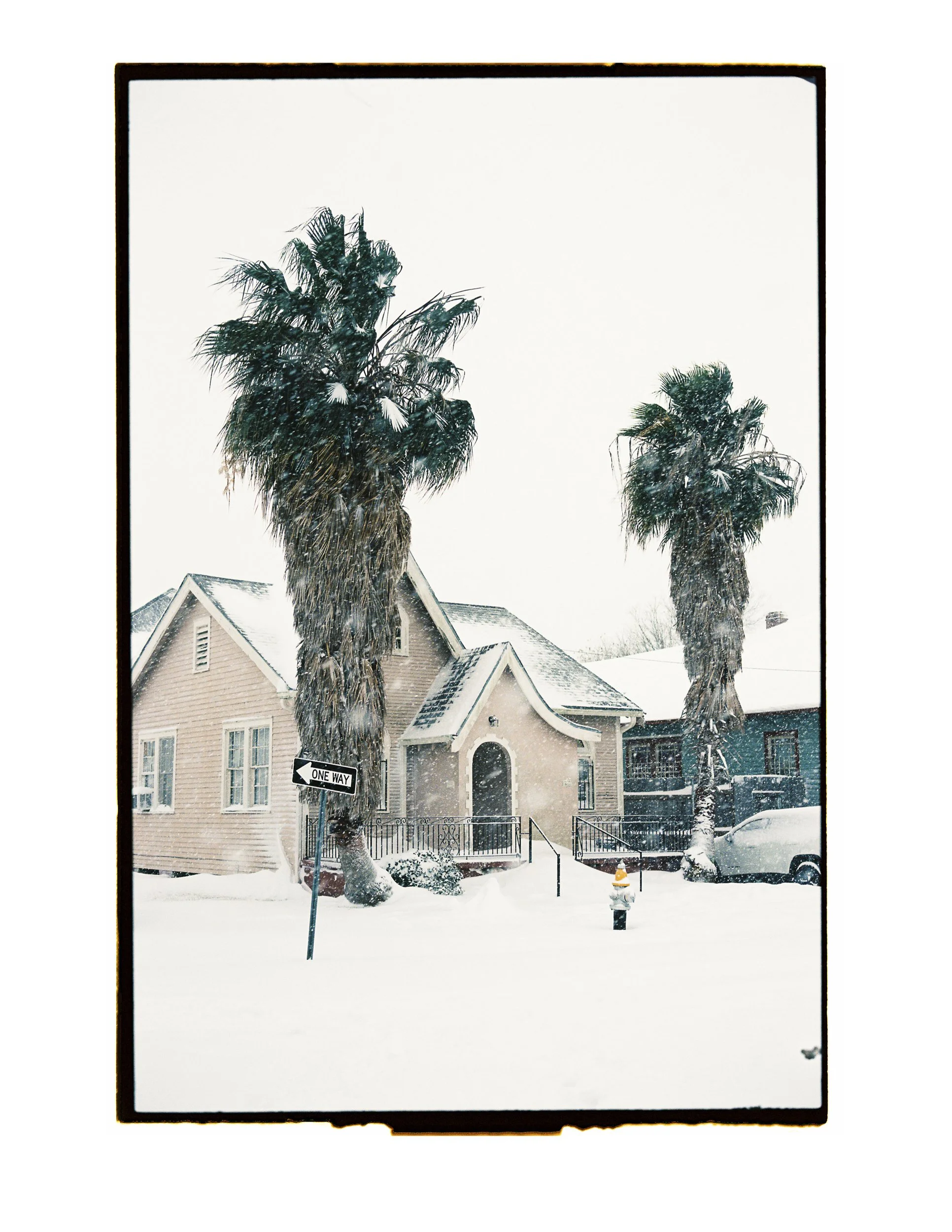 CamilleFarrahLenain_Portfolio_67.jpg