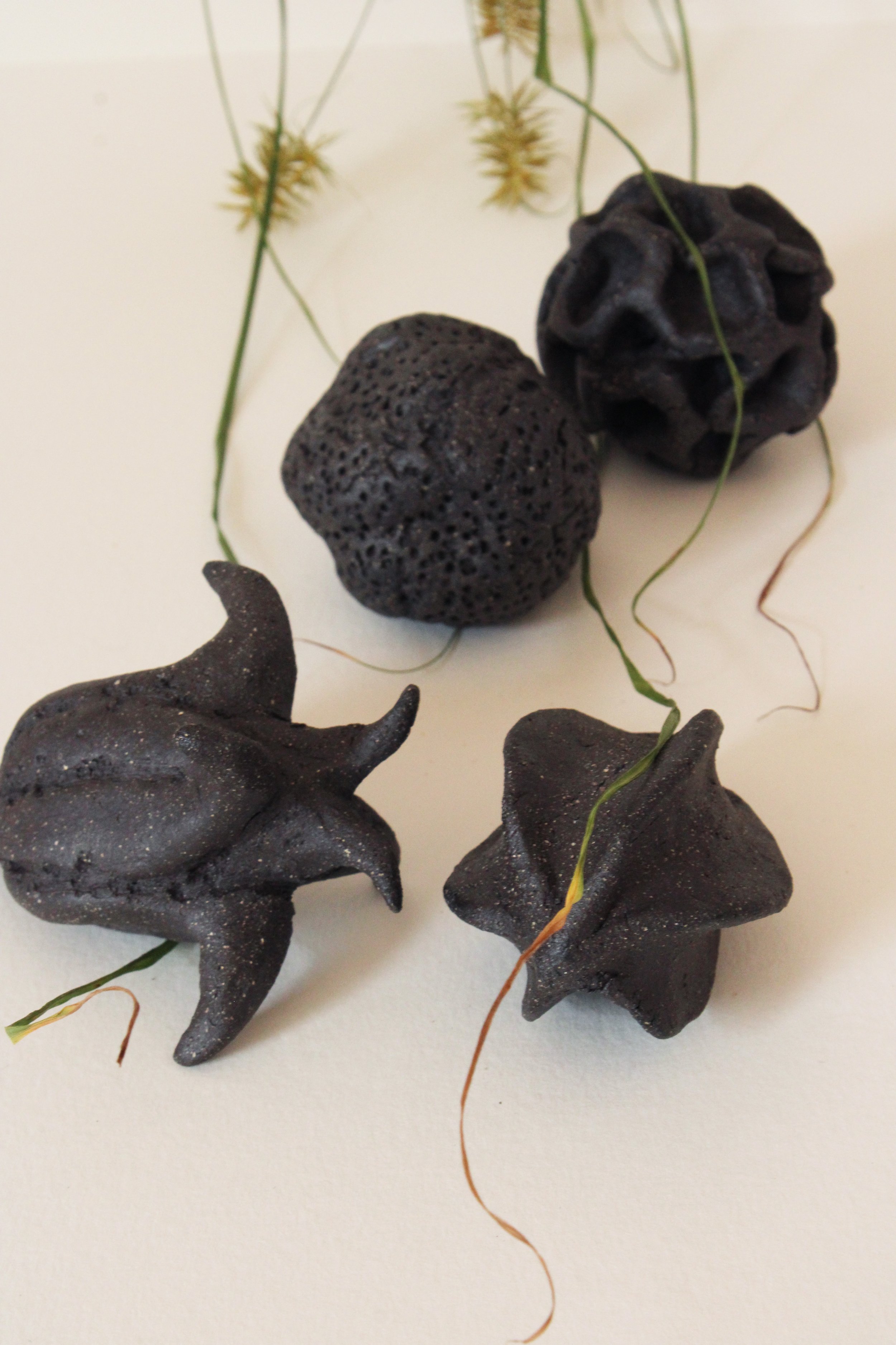 "Pods" - ceramic stoneware - 2024
