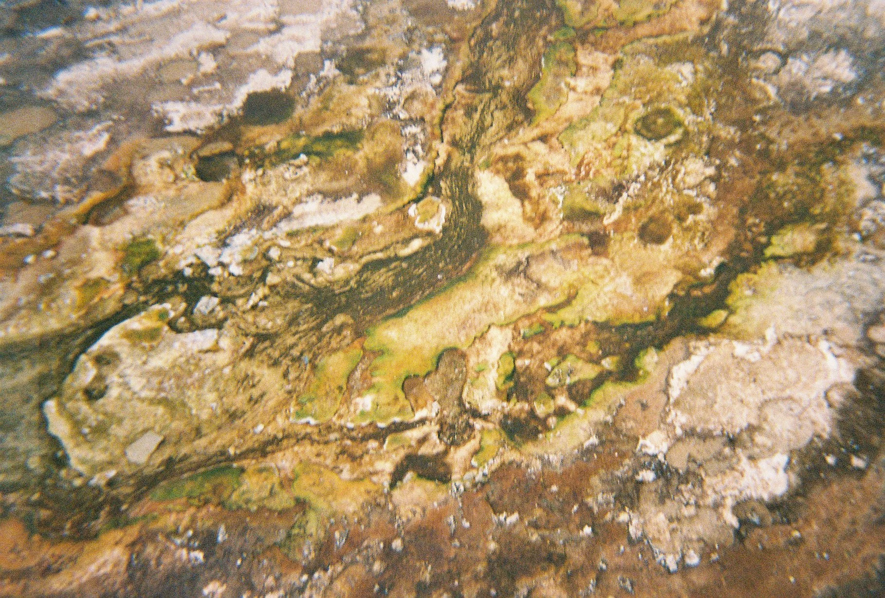 Volcanic Composition, 2021, Yellowstone NP Wyoming USA