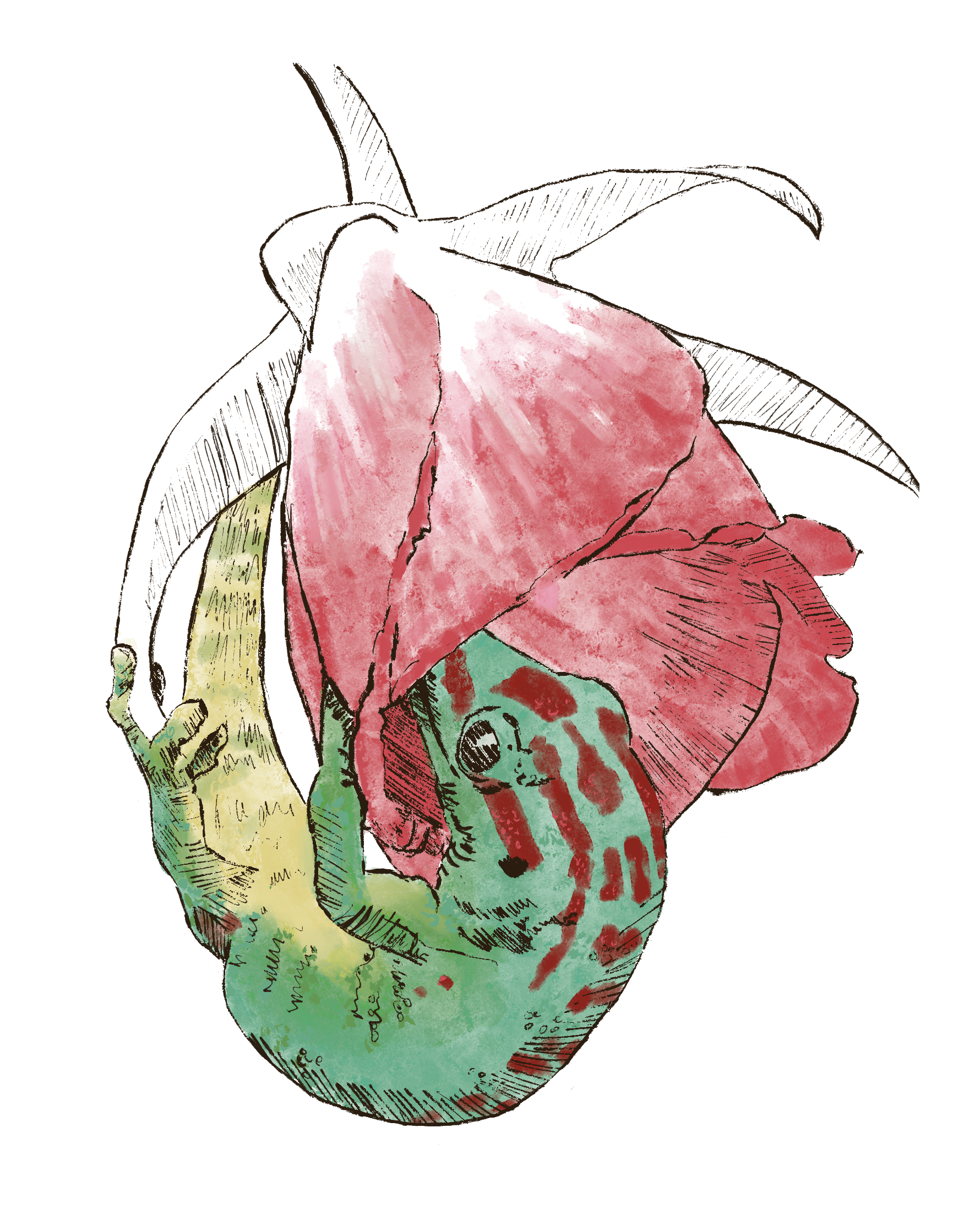 Pollinators | Nature's Technicians by the WWF