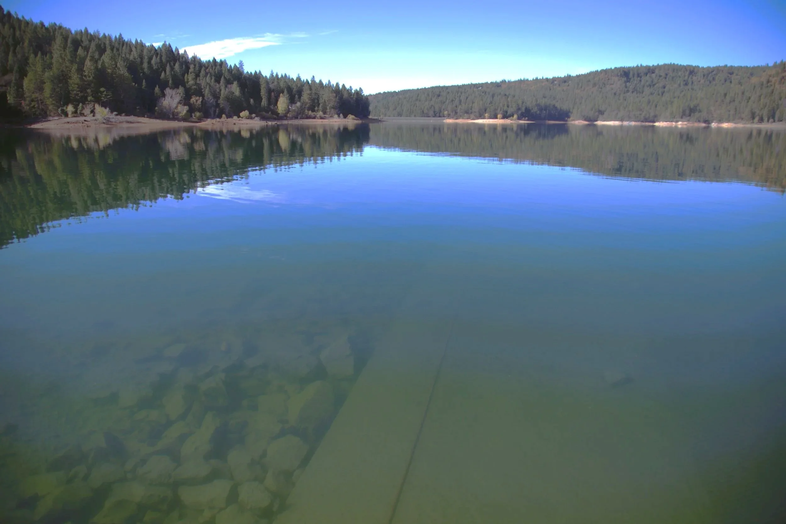 View of mountain lake, shoreline and evergreen trees.