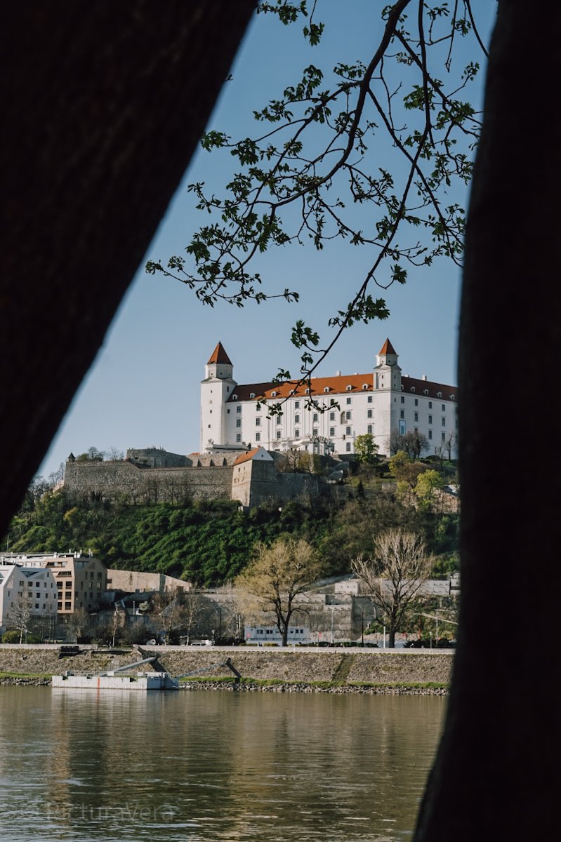 Blick auf die Donau und Burg Bratislava