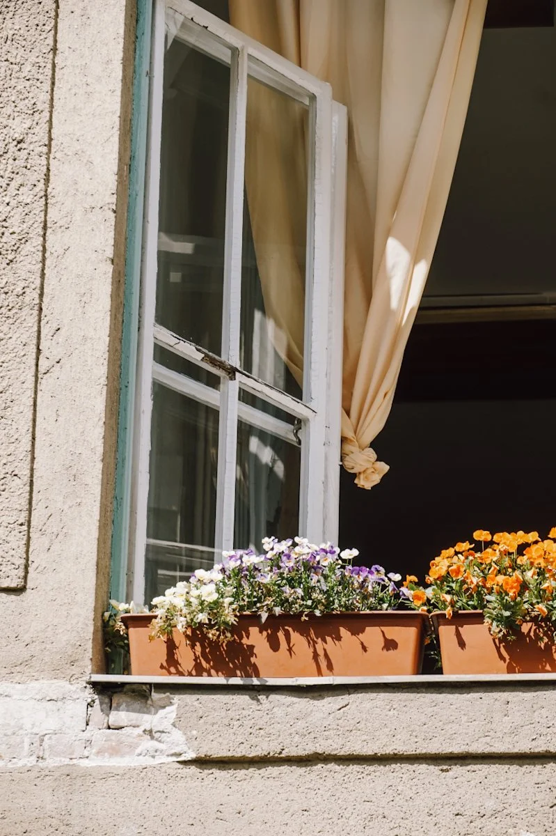 Fenster mit Blumentöpfen in Szeged