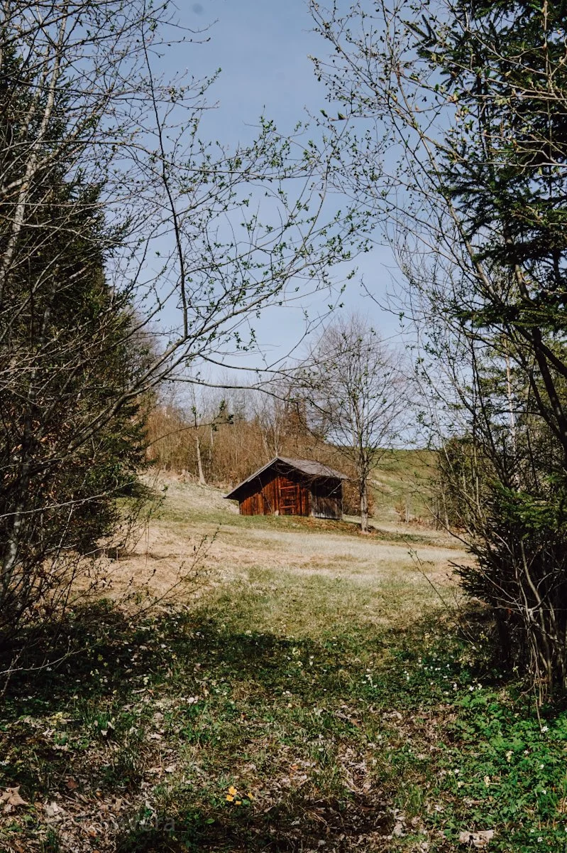 Kleine alte Hütte in der Landschaft um Oberstdorf