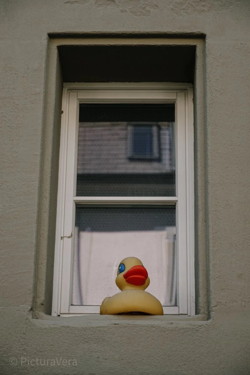 Gummiente vor Fenster