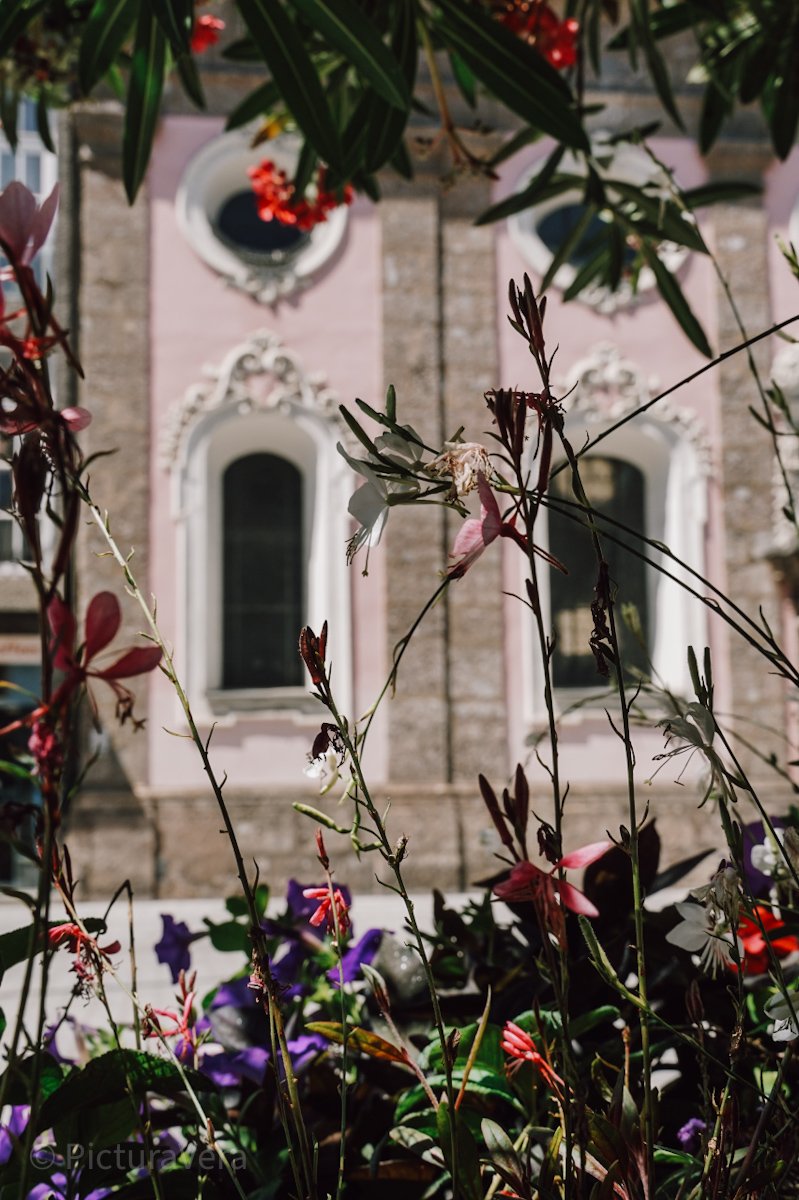 Spitalskirche und Blumen