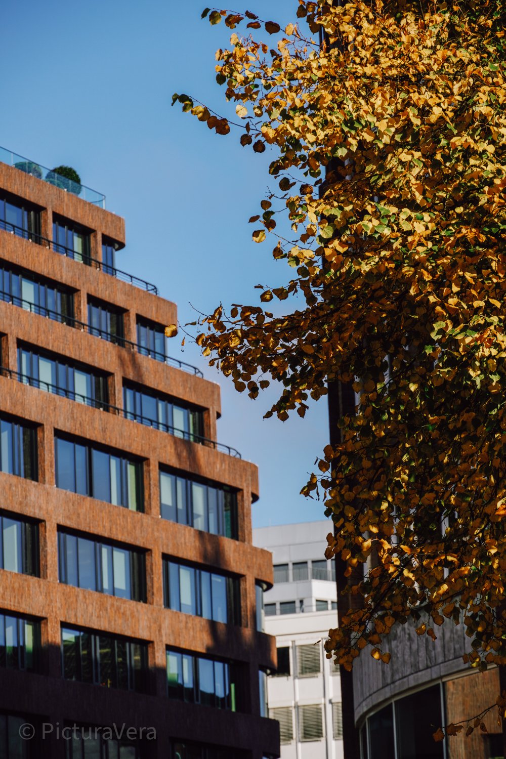 Hamburger Architektur