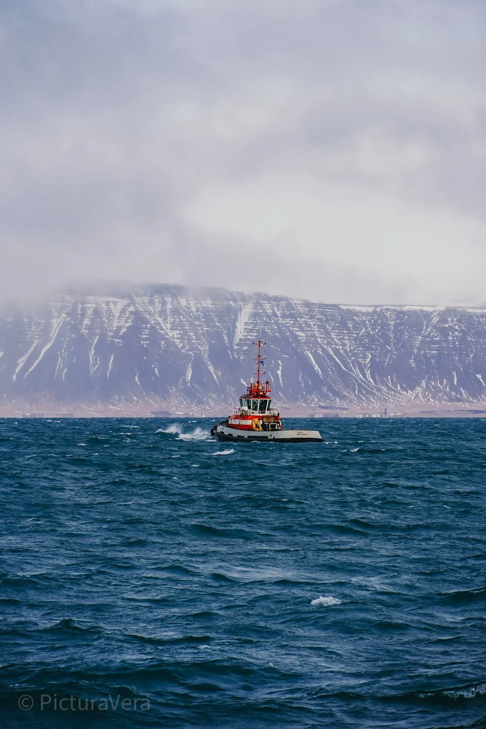 Island Whale Watching Fotografien