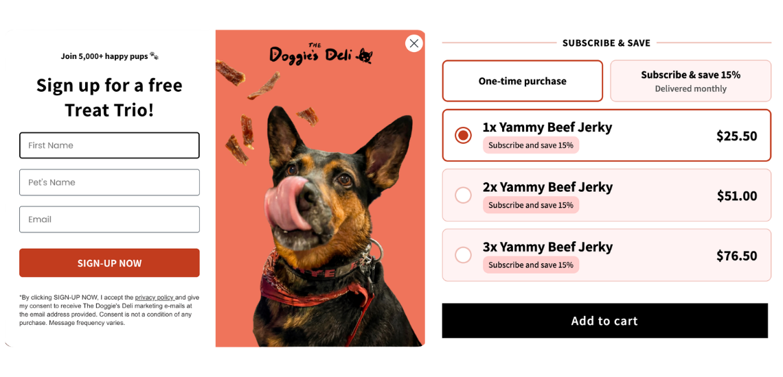 The Doggies Deli Case Study by Road To Rev