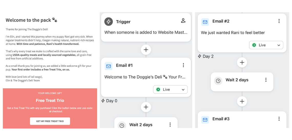 Doggies Deli Email Case Study