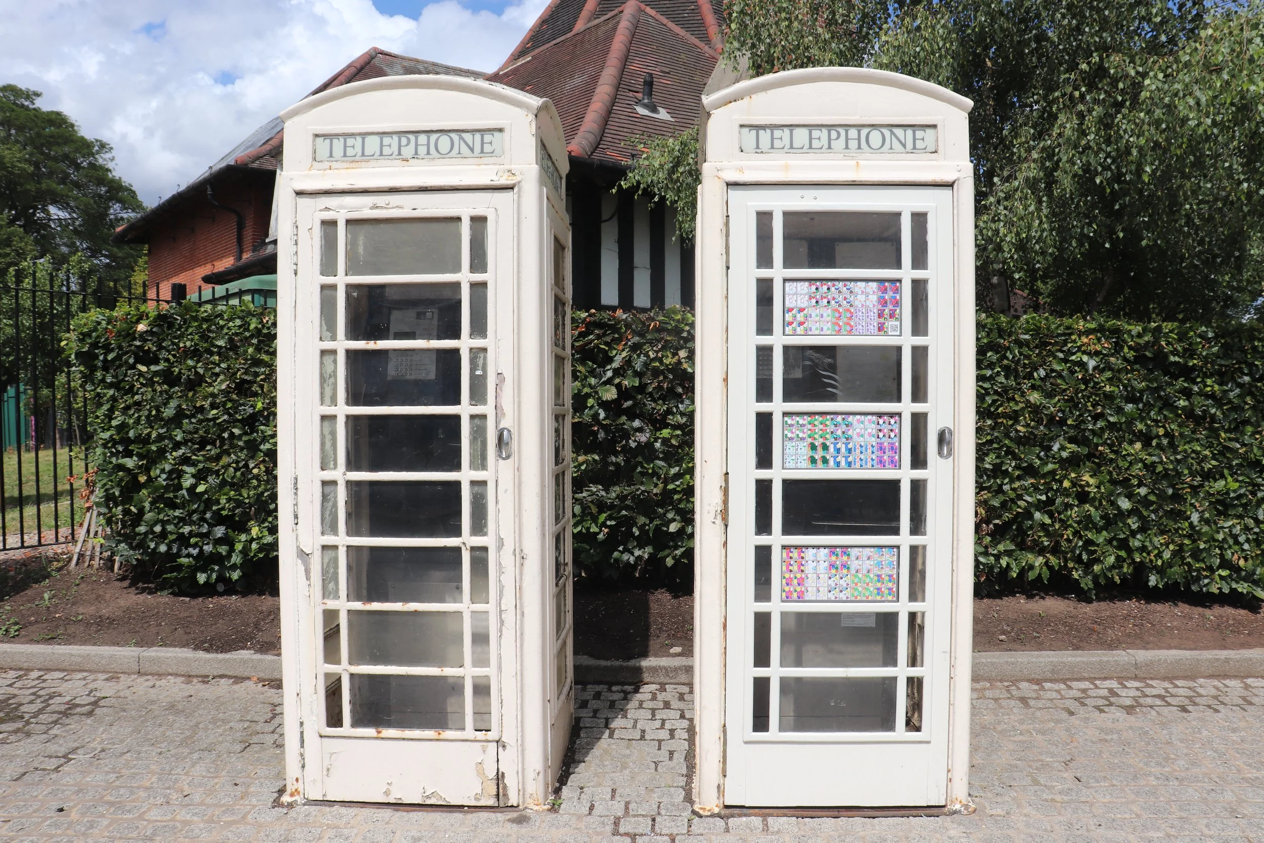 2025-07-16 12.49.12.jpg